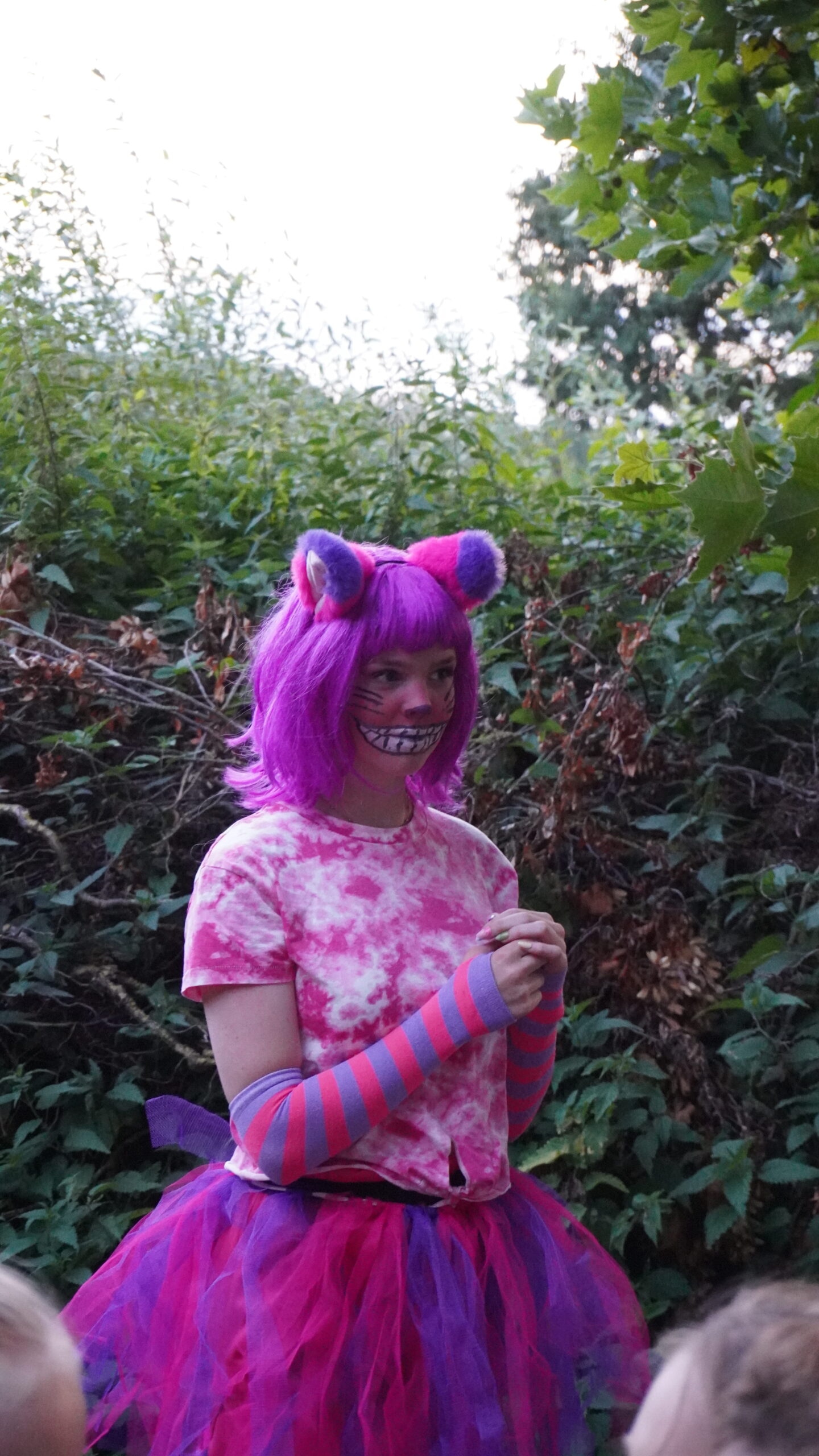 DSC06352